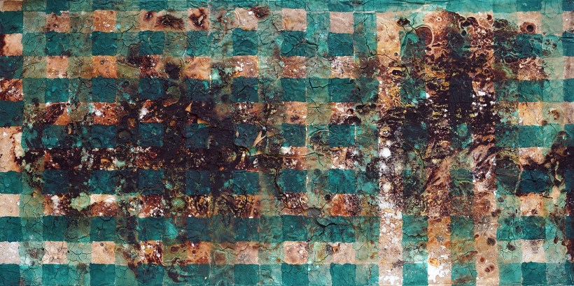 WEB11 YC tuali mayalamak 1 DSC04986